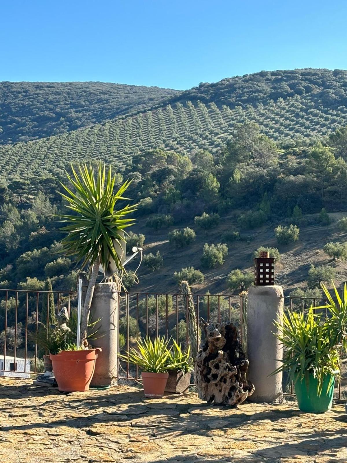 Ermita De Las Eras Algarinejo Dış mekan fotoğraf